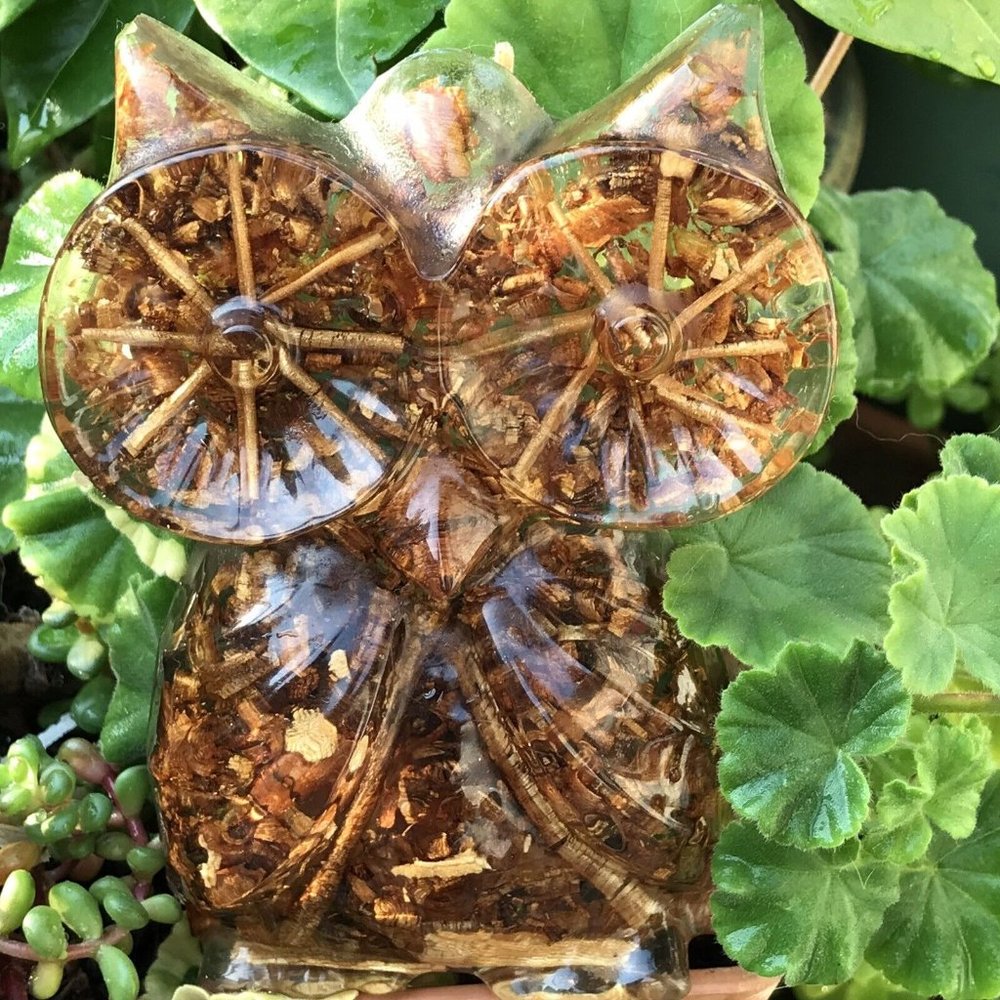 Vtg 70s Lucite MCM Acrylic Owl Rare Myrtle Wood Wall Hanging Souvenir Kitschy